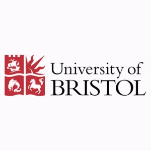 University 31