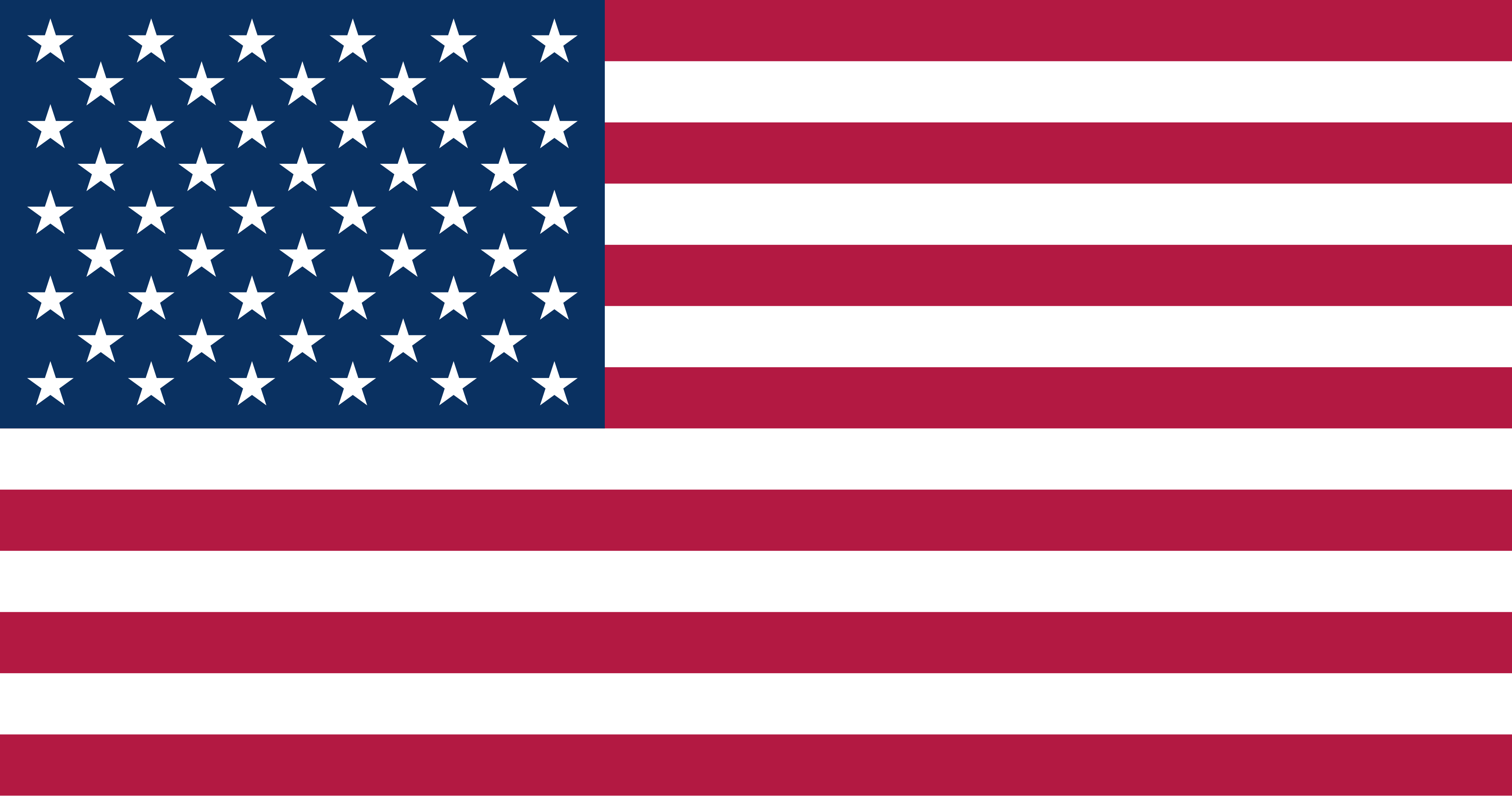 Revolut US flag
